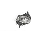 Mossy Eye Moor