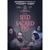 The Seed Of The Sacred Fig