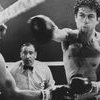 Raging bull