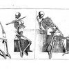 The Bones
