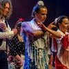 Workshops Flamenco Chant, guitare & danse