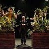Mutik · Collectif La Canopée