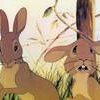Watership Down