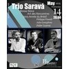 TRIO SARAVÁ - bossa nova