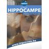 Hippocampe