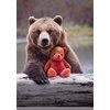 Ours & Nounours - Viens avec Nounours !