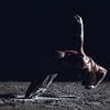 Planet [wanderer] • Damien Jalet Kohei Nawa