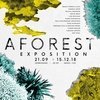 A Forest