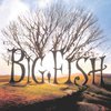 Big Fish
