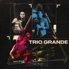 Trio Grande : Vinson / Hekselman / Wood