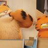 Garfield : Héros malgré lui