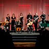 FestiVita !26 Ricercar Consort