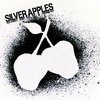Silver Apples +The wild classical music ensemble