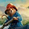 Paddington au Pérou