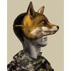 Foxfinder