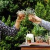 Il faut cultiver son jardin