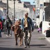 CinéCafé : La Vache
